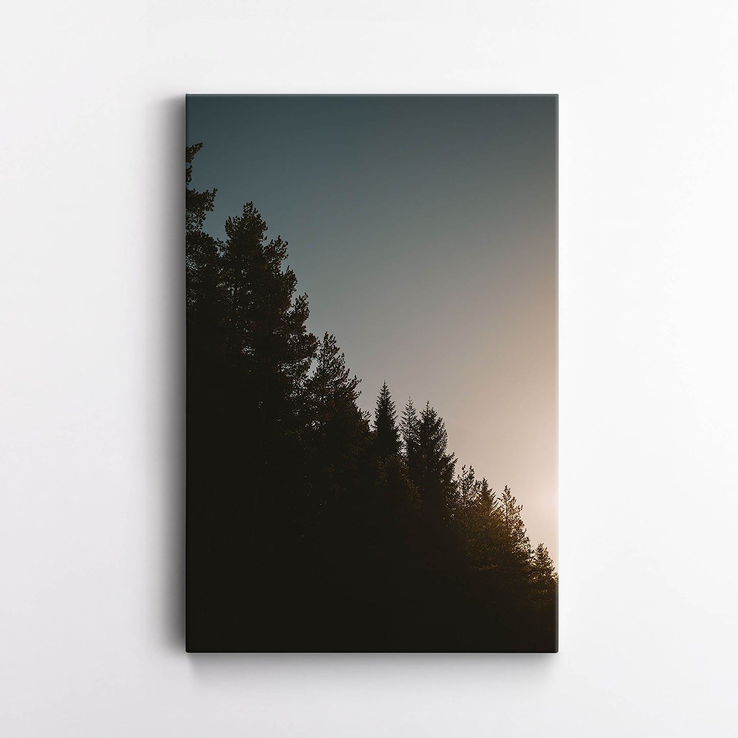 Picture Wall - Skog